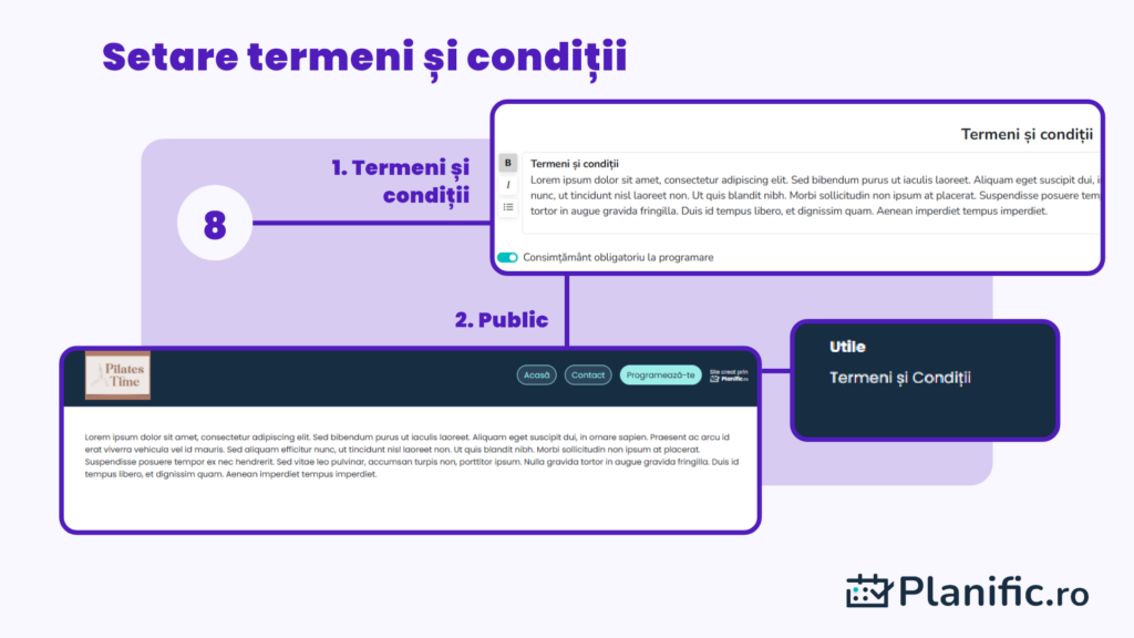Termeni si conditii