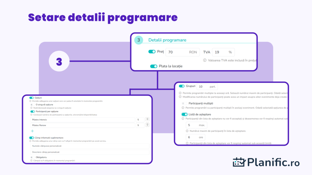Detalii programare